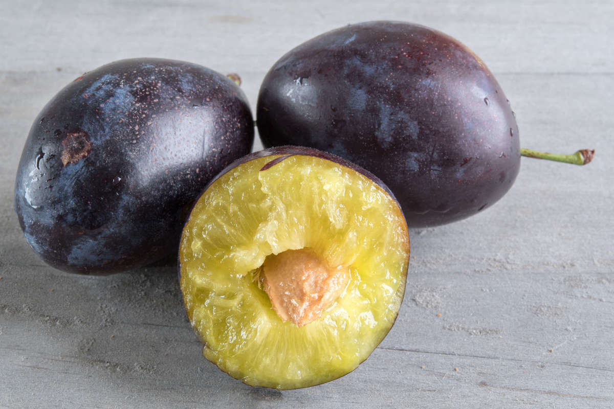 A blue Ontario plum is cut in half.